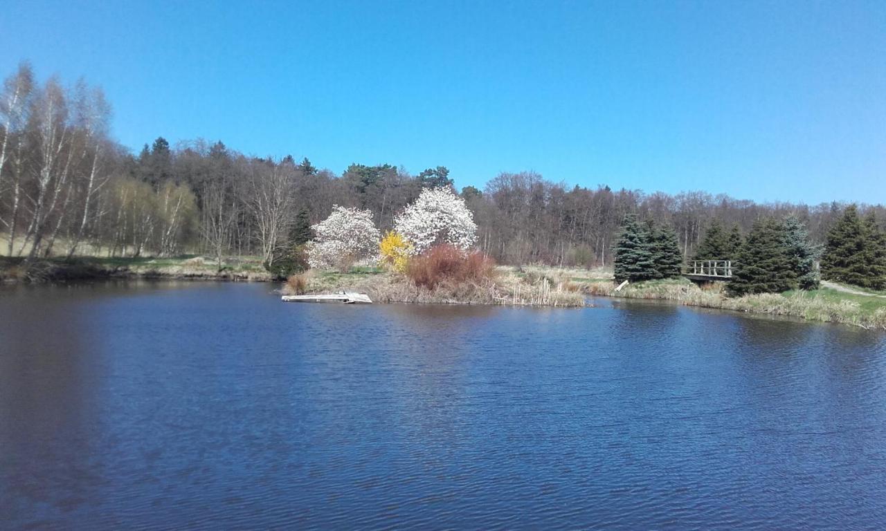 Marka Pokoje Goscinne Mielno  Exterior photo